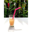 Kit com 2 Canudos de Silicone Azul com Limpador KaBaby